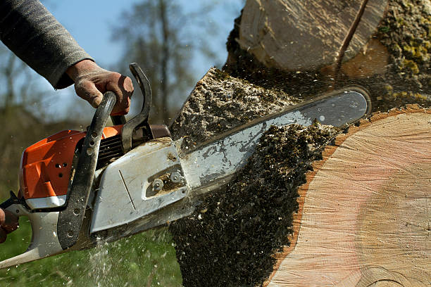 Tree Service Company in Russell, PA